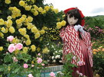 2010_0527_143133AA.jpg