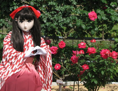 2010_0527_144015AAa.jpg