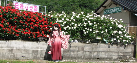 2010_0527_145519AAa.jpg