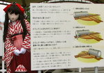 2010_0619_131053AAa.jpg
