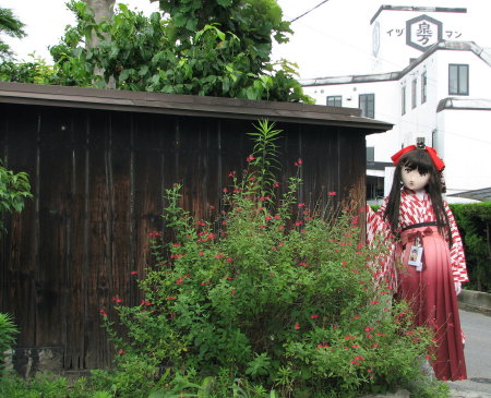 2010_0619_140219AAa.jpg