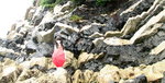 2010_0626_174448AAa.jpg