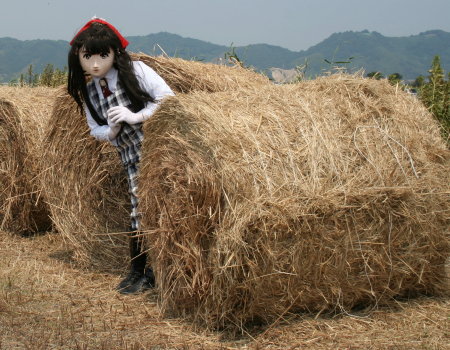 干し草 Hay JapaneseClass.jp