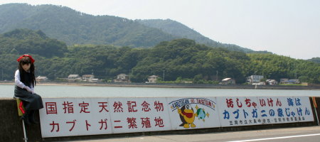 2010_0823_123802AAa.jpg
