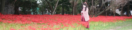 2010_0929_150439AAa.jpg