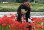 2010_0929_153130AAa.jpg