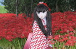2010_0929_153321AAa.jpg