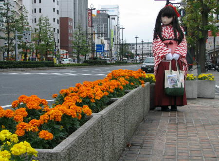 2010_1030_111458AAa.jpg