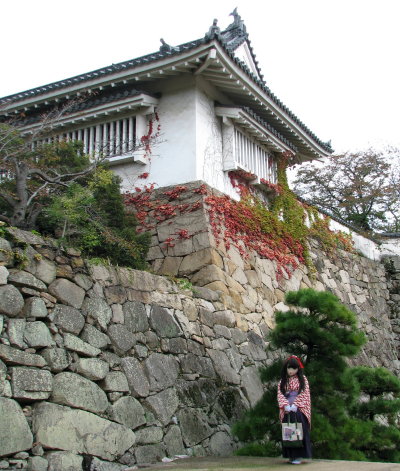 2010_1101_120310AAa.jpg