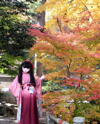 2010_1124_115705AAa.jpg