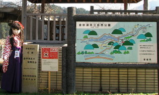 2010_1219_104354AAa.jpg