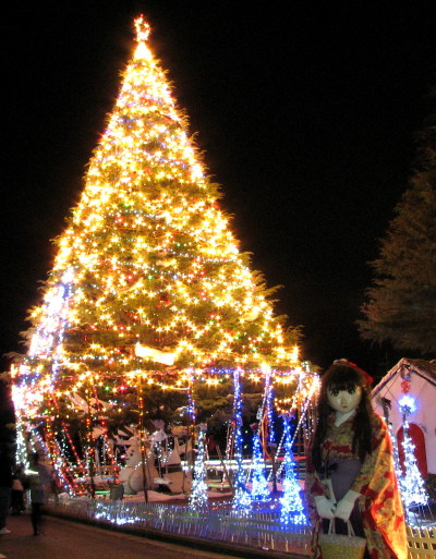 2010_1224_214014AAa.jpg