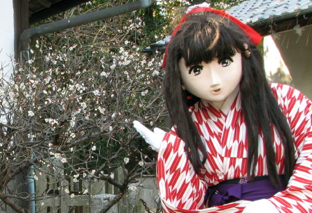 2011_0202_150824AAa.jpg