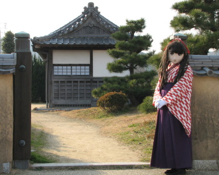 2011_0202_153610AAa.jpg