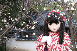 2011_0202_165931AAa.jpg