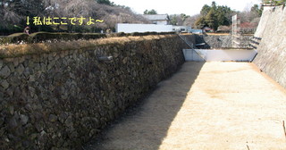 2011_0221_114146AAa.jpg