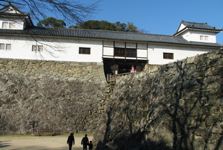 2011_0222_152638AAa.jpg