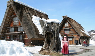 2011_0223_132900AAa.jpg