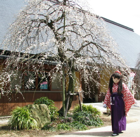 2011_0304_112514AAa.jpg