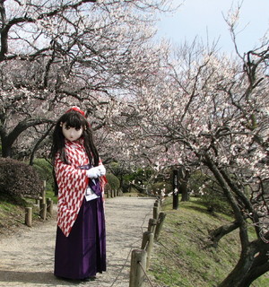 2011_0304_114552AAa.jpg