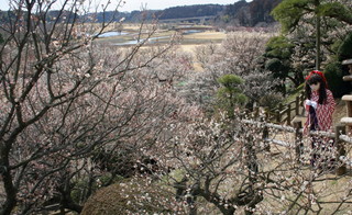 2011_0304_125038AAa.jpg