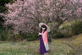 2011_0403_115510AAa.jpg
