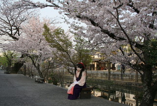 2011_0411_064342AAa.jpg