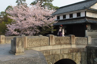 2011_0411_070934ABa.jpg