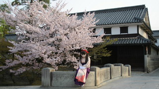 2011_0411_071548AAa.jpg