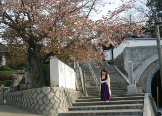 2011_0411_074428AAa.jpg
