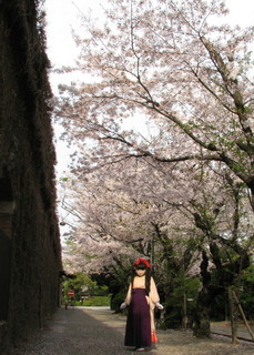 2011_0411_080218AAa.jpg