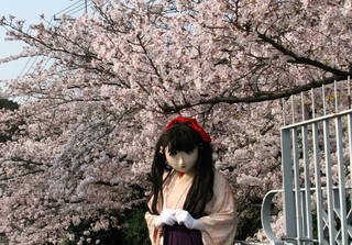 2011_0411_080556AAa.jpg