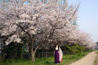 2011_0411_082910AAa.jpg