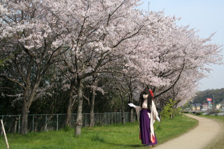 2011_0411_083408AAa.jpg