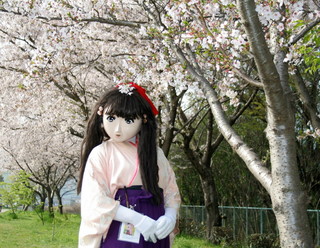 2011_0411_083852AAa.jpg