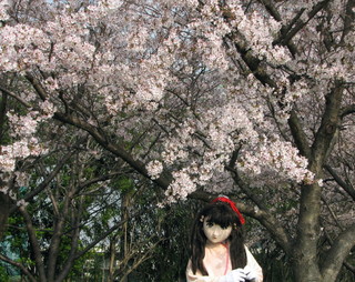 2011_0411_084210AAa.jpg