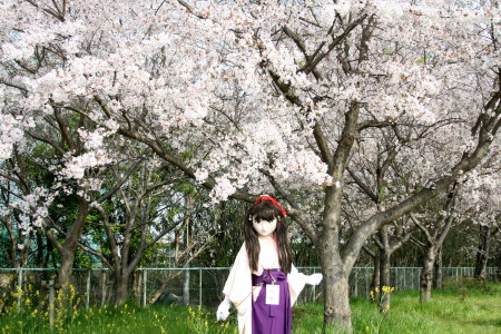 2011_0411_084344AAa.jpg