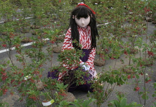 2011_0514_132252AAa.jpg