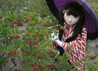 2011_0514_133307AAa.jpg