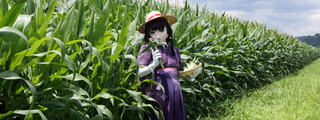 2011_0711_131943AAa.jpg