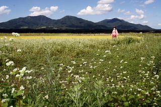 2011_0915_141229AAa.jpg