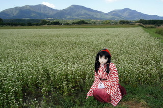 2011_0915_144850AAa.jpg