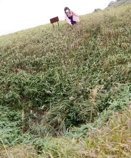 2011_1002_141646AAa.jpg