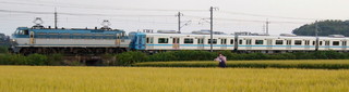2011_1008_172748AAa.jpg