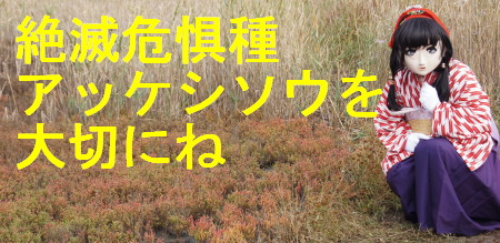2011_1025_141316AAa.jpg