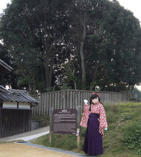 2011_1029_152350AAa.jpg