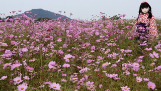 2011_1029_165240AAa.jpg