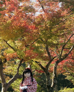 2011_1120_094757AAa.jpg