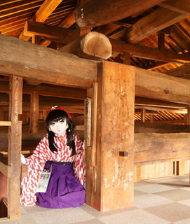 2011_1120_120328AAa.jpg