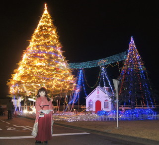 2011_1223_215155AAa.jpg